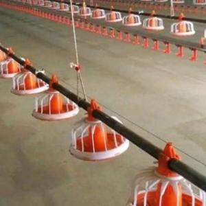 China Duck Layer Hens Chicken Shed Broiler Poultry Equipment factory
