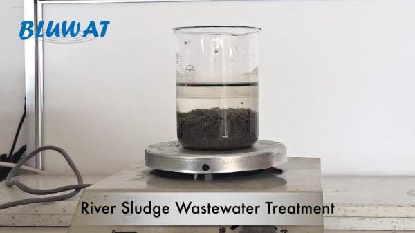 BV Anionic Polyacrylamide Flocculant River Sludge Wastewater Treatment Sludge