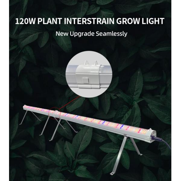 Adjustable Height Hydroponic LED Grow Light 120W Indoor LED Cultivation Light