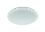 Non Dimmable Commercial Electric Led Lights , 10 Watt Led Ceiling Down Light