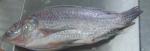 Tilapia gutted & scaled