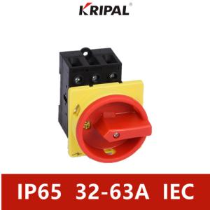 China 32Amp Three Phase IP65 Waterproof Isolator Switch Maintenance Switch factory