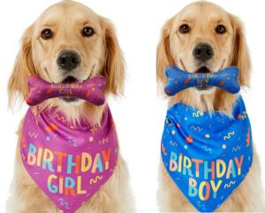 China Dog Birthday Stocked Occasion Bandana Bone Chew Toy Set Pet Custom Printed Bandanas factory