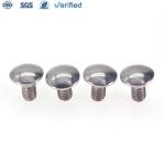 Square Neck Carriage Bolts with Customized Stainless Steel Head Mirror Polished
