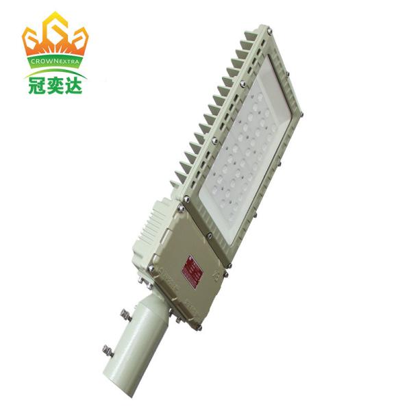 LEDUN ATEX Waterproof Explosion Proof Light Factory Price 50w-250w Ip66 Outdoor