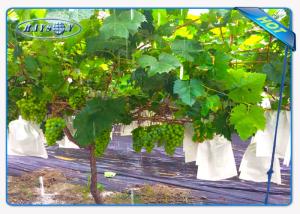 China Enviro Vegetable Garden Weed Barrier Agriculture Non Woven Cover Ground Weed Control Fabric factory