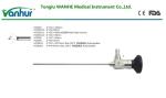 Customization Medical Ent Autoclavable Otoscope Endoscope for Optic Instruments