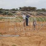 6x15m High Tunnel Greenhouse With Galvanized Steel Frame For Vegetable Farming