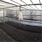 anti insect netting manufacturer