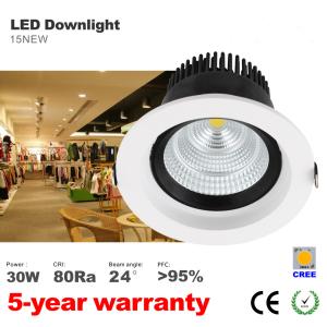 China 30W LED Downlight 140mm hole 24 degree or 60 degree beam angle CREE COB LED lamp factory