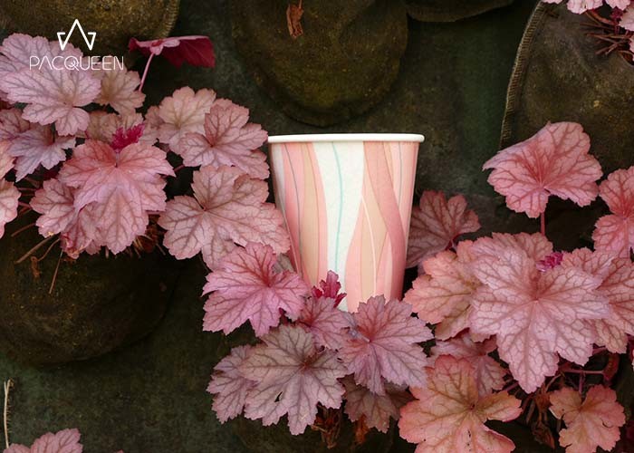 Extra Protection Coffee Paper Takeaway Cups With Additional Sleeves