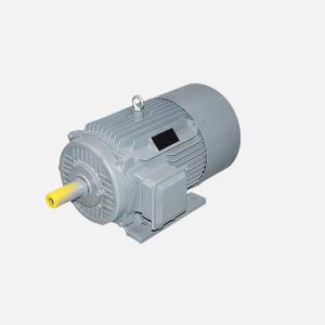 China 750r-3000r Rated Speed Permanent Magnet Synchronous Motor For Industrial Applications factory