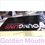 Advertising Sign Display Printed Heavy Duty PVC Banner