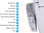 Bathroom Automatic Intelligent Bidet Toilet Seat Dual Nozzles ABS Resin Material