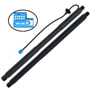 China Auto Electric Power Tailgate Lift For W166 Passenger Gate Shock 1668901130 1668900000 factory
