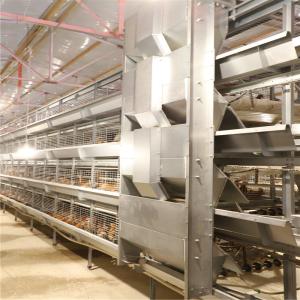 China Battery Day Old Chicks Cage Breeding Chicken Cage For Layer Chick factory