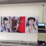 SSV-S2WMP 4nozzle 3D Wall Inkjet Printing Machine 2years warranty