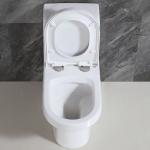 Factory Wholesale Bathroom Sanitary Ware Smart Wc Toilet Bowl Ceramic Washdown