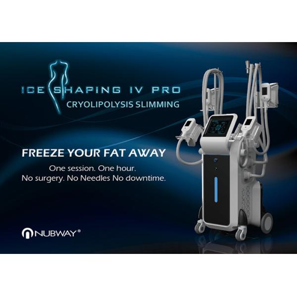 China Non Surgical Vertical body shaping / fat freezing / cryo slimming machine with anti freeze membrane factory