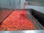 Commercial Conveyor Belt Dryer 400kg/H Stainless Steel Food Dehydrator