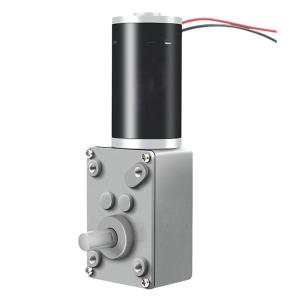 China 20 Inch Worm Gear Motor Customize 12v 24v For Conveyor Belt factory
