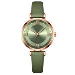 30M Life Waterproof Roman Numerals 1.2cm Branded Belt Watches For Ladies