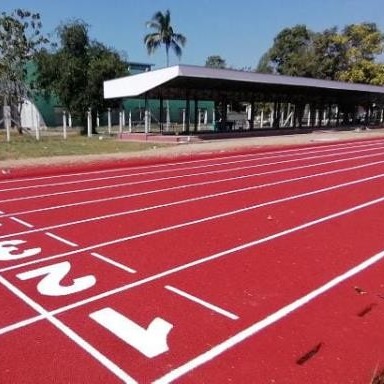 China Eco Friendly Prefabricated Rubber Running Track With IAAF Approved factory