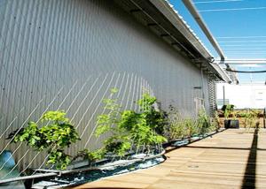 China SS316 Green Wall Mesh / Ferruled Type Stainless Steel Wire Cable Mesh factory