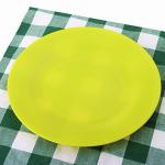 Customized Logo Plastic Food Tray PP Plate for Disposable Efficiency Lightweight