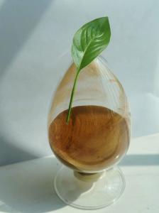 China Light Yellow Sodium Lignosulfonate Manufacturers Flocculant CAS 8061-51-6 factory
