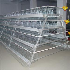 China Chicken Farming 3 Tiers A Frame Layer Cages Automatic Manure System factory