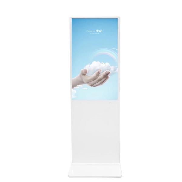 65 Inch Touch Screen Digital Signage / Interactive Touch Screen Kiosk Video