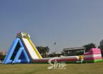 10m High Giant Inflatable Hippo Water Slide For Adult From China Inflatable