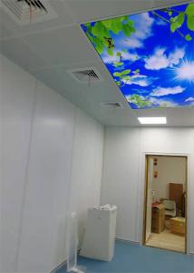 China Mri Copper White Swing Radiation Shielding Doors Brass Frame For Hospital factory