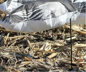 China Snow &amp; Blue Goose Windtamer Windsock Decoys w/ Fiberglass Stakes w/ 10 Flyers factory