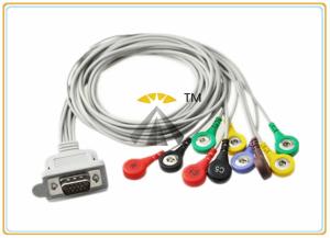 China Gray 10 Lead ECG Electrode Cable Holter DMS 300 Series With Leadwires Snap IEC factory