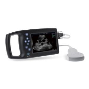 China 5.7&quot; LED 135db Medical Vet Ultrasonic Machine Pig Pregnancy Ultrasound Scanner factory