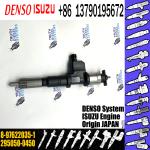 Rail Fuel Injector Assembly 295050-0450 295050-0451 8-97622035-2 8-97622035-0 8