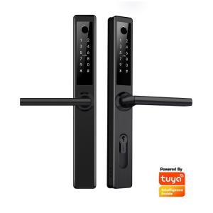 China Fireproof Aluminum Door Lock With Fingerprint Access factory