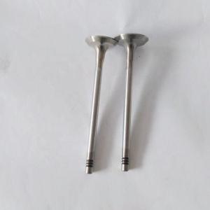 China Replacement Diesel Engine Parts J18 TD21 Intake And Exhaust Valve For Nissan 13201-24W00 factory