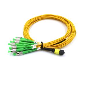 OFNR 12F MPO MTP Patch Cord FC APC Breakout Trunk Cable For Data Center