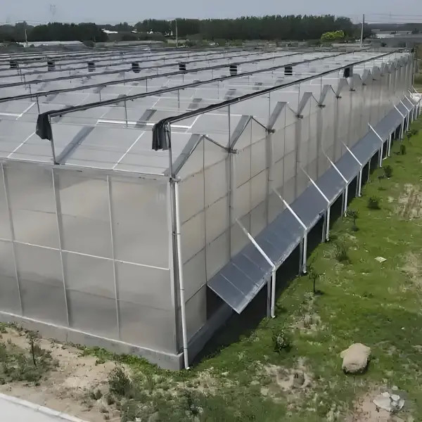 Greenhouse Commercial Greenhouse Multi-span Vegetable Seeding Agricultural Frame Venlo Polycarbonate Greenhouse