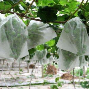 China Anti Virus Defense Material S SS Non Woven Spunbond Fabric With Custom Options factory