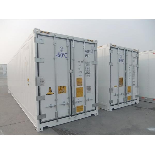 40ft Reefer Deep Blast Feezer Containers Polyurethane Insulated Thermo King Refrigerator for 60 Degree Fresh Tuna Storage