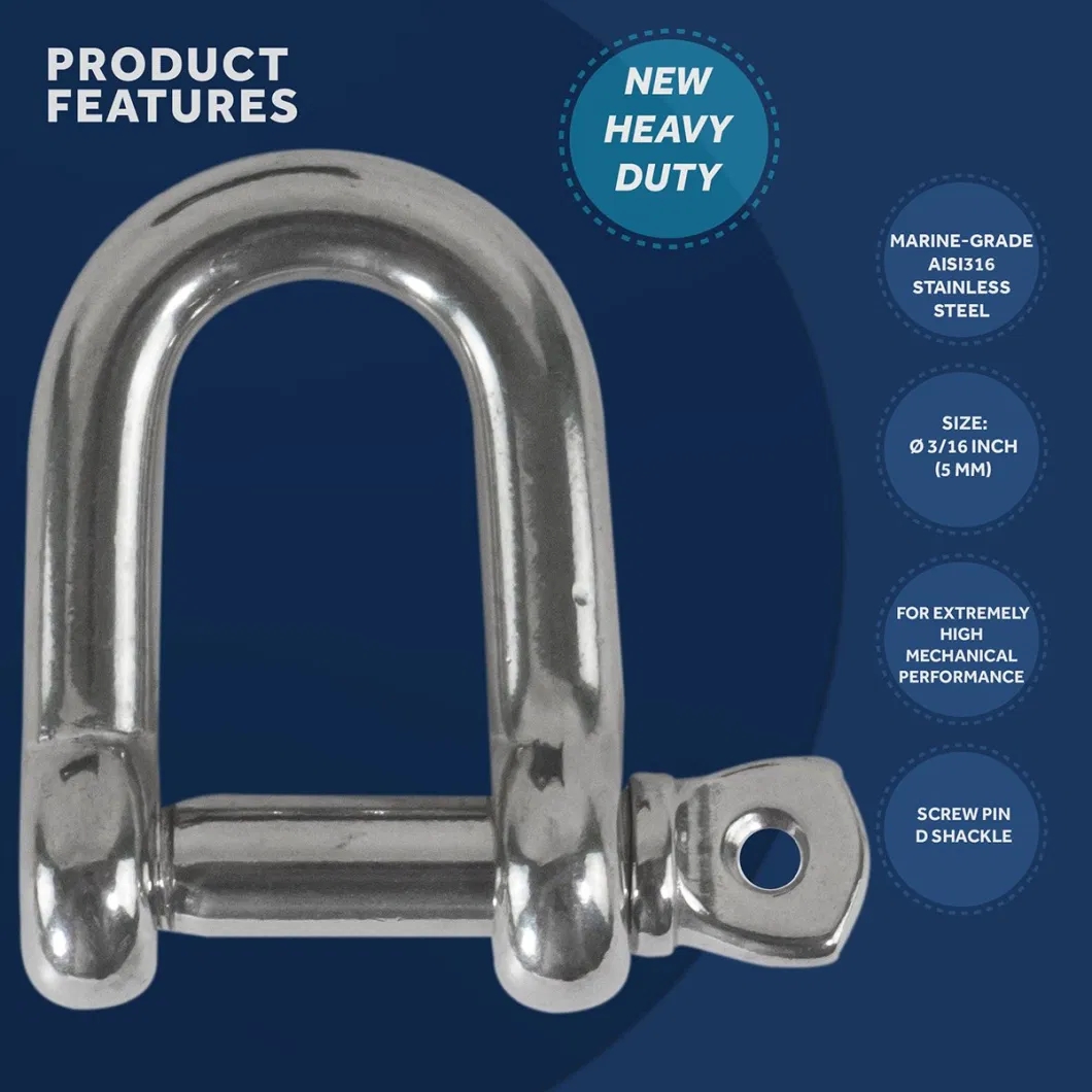 European Type Stainless Steel 304/316 Screw Pin D Shackle for Heavy Duty Applications