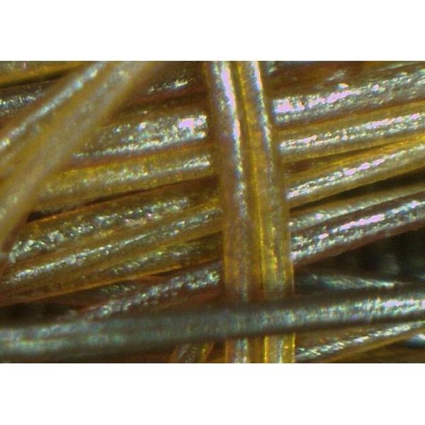 Digital Magnifier Handheld Video Dermatoscope Skin Analyzer with Data Report of Oil Moisture Pigment Flexible