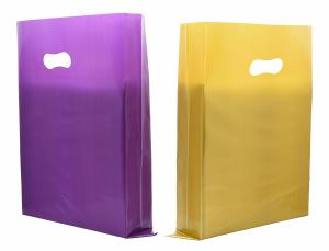 China Recyclable Custom Logo Reusable Shopping Bags For Shopping Mall factory