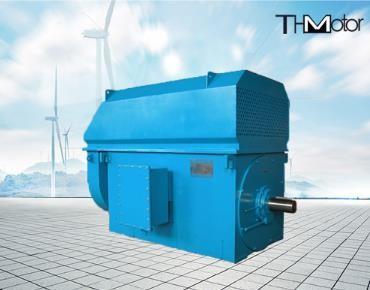 IP23 Energy Saving Low Noise 100rpm to 3000rpm High Voltage Electric Motors 50Hz