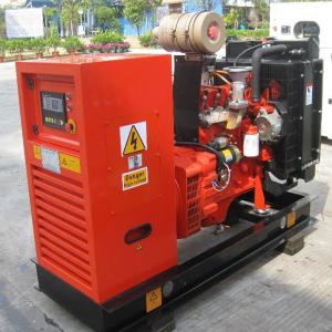 China 50hz Standby Natural Gas Portable Generator 35kw Water Cooled With Stamford Alternator factory