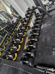 Befreeman Factory Direct Supply Gym Fitness Equipment Dumbbell Storage Rack